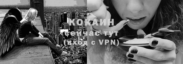 прущие крисы Тайга